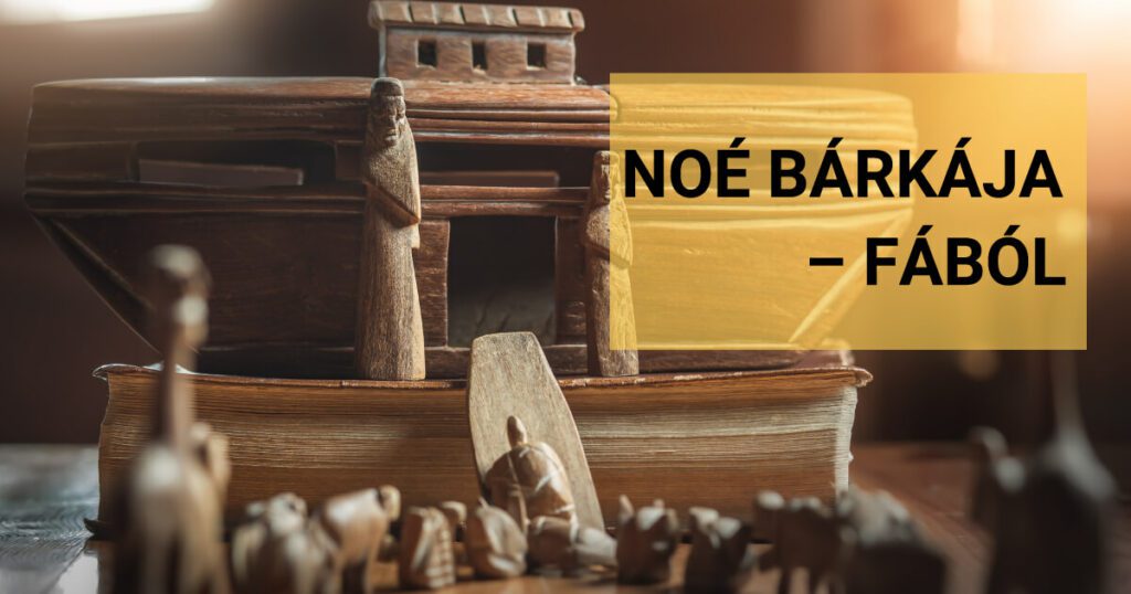 blog-noe-barkaja-vidamacs